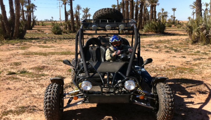 ACTIVIDAD PASEO EN BUGGY AL PALMERAL DE MARRAKECH : 145