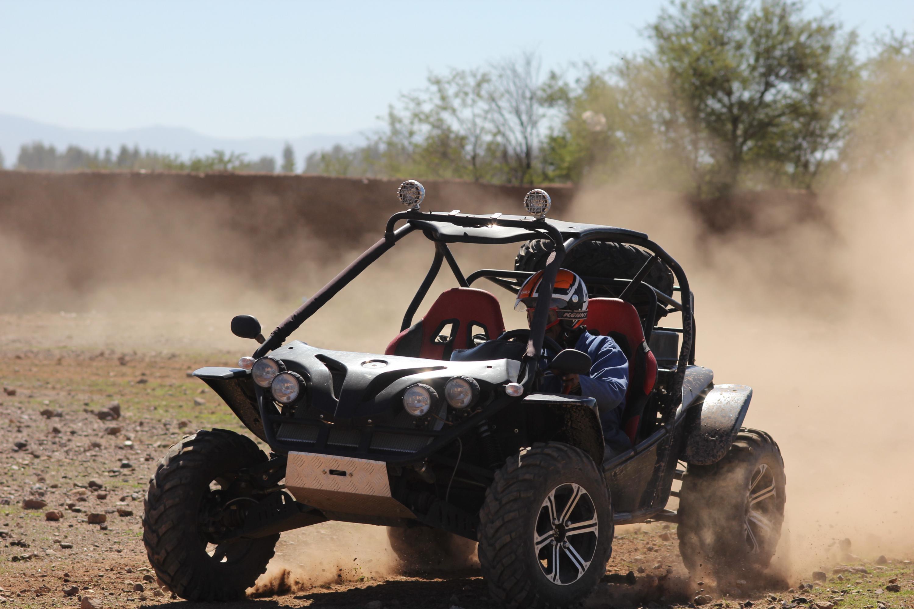 ACTIVIDAD PASEO EN BUGGY AL PALMERAL DE MARRAKECH : 146