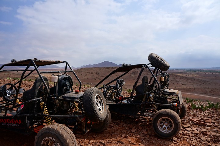 ACTIVIDAD PASEO EN BUGGY AL PALMERAL DE MARRAKECH : 147