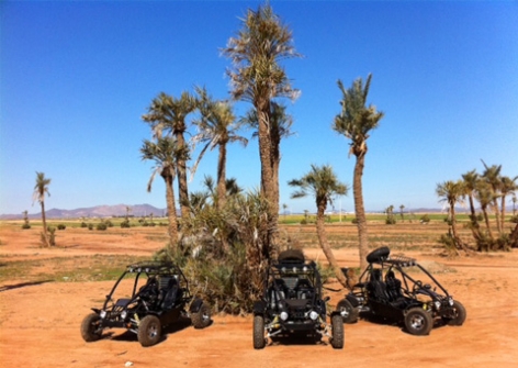 ACTIVIDAD PASEO EN BUGGY AL PALMERAL DE MARRAKECH : 150