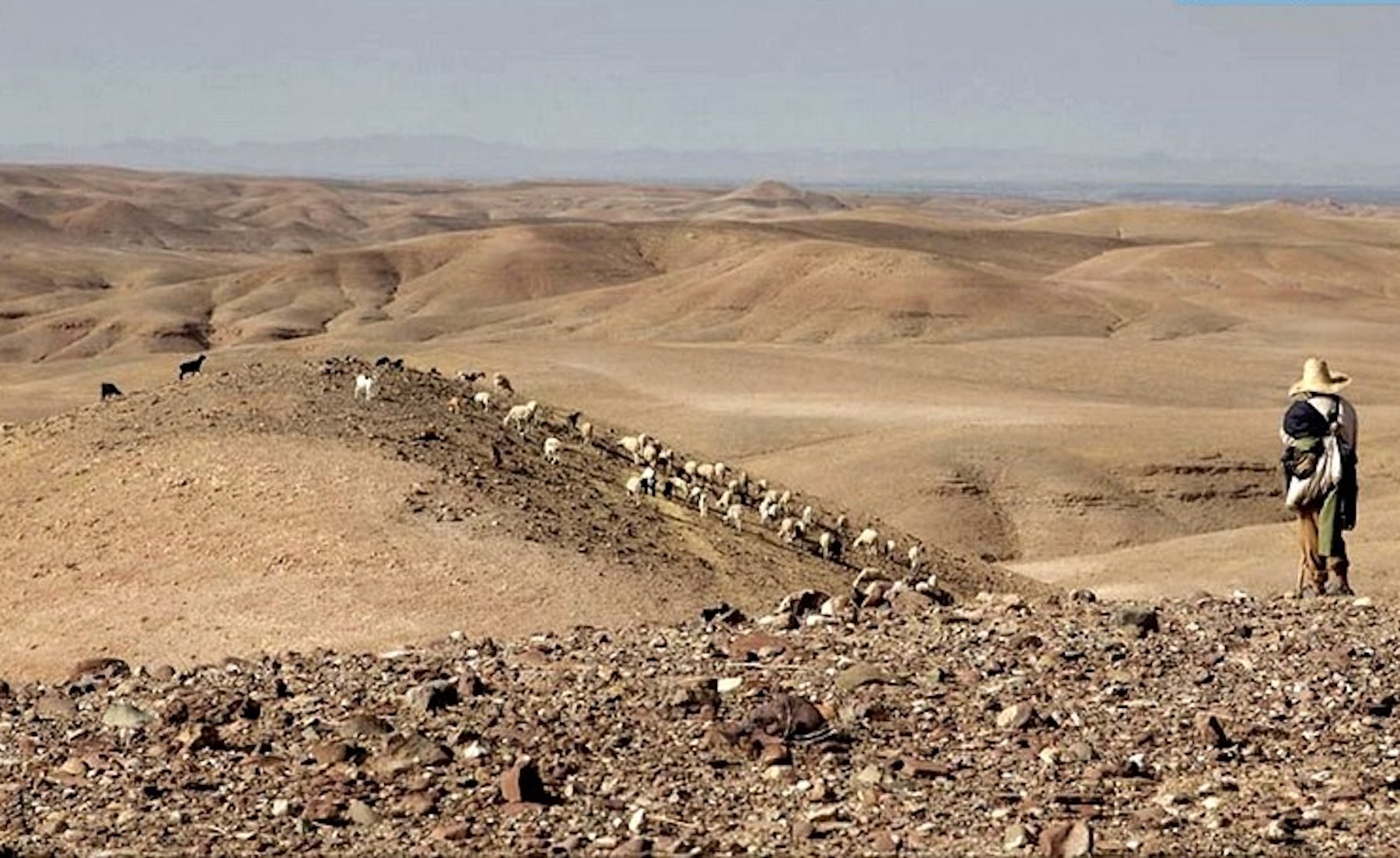 Tour de 2 días al desierto de agafay, a solo 45 km de marrakech 236